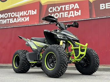 Квадроцикл PROMAX RAPTOR 300 AIR Monster