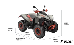Квадроцикл BRP CAN-AM RENEGADE X XC T 1000