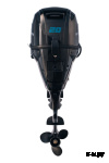 4х-тактный лодочный мотор REEF RIDER RREF20FES