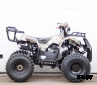 Квадроцикл STALKER 125 Lux