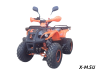 Квадроцикл ATV Termit Libre