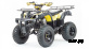 Квадроцикл MOTOLAND (МОТОЛЕНД) 250 ADVENTURE