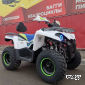 Квадроцикл PROMAX RENEGADE 280 LUX (2025)