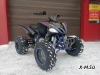 Квадроцикл PROMAX RAPTOR 320 RedBull