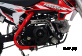 Питбайк Progasi KIDS POWER 110 (10/12)
